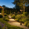 Pathway Landscape Lighting Waterproof LED Light for Outdoor Use

Illuminate your outdoor spaces with our premium waterproof LED pathway landscape lighting. Designed for durability and style, these lights enhance safety and aesthetics in gardens, walkways,