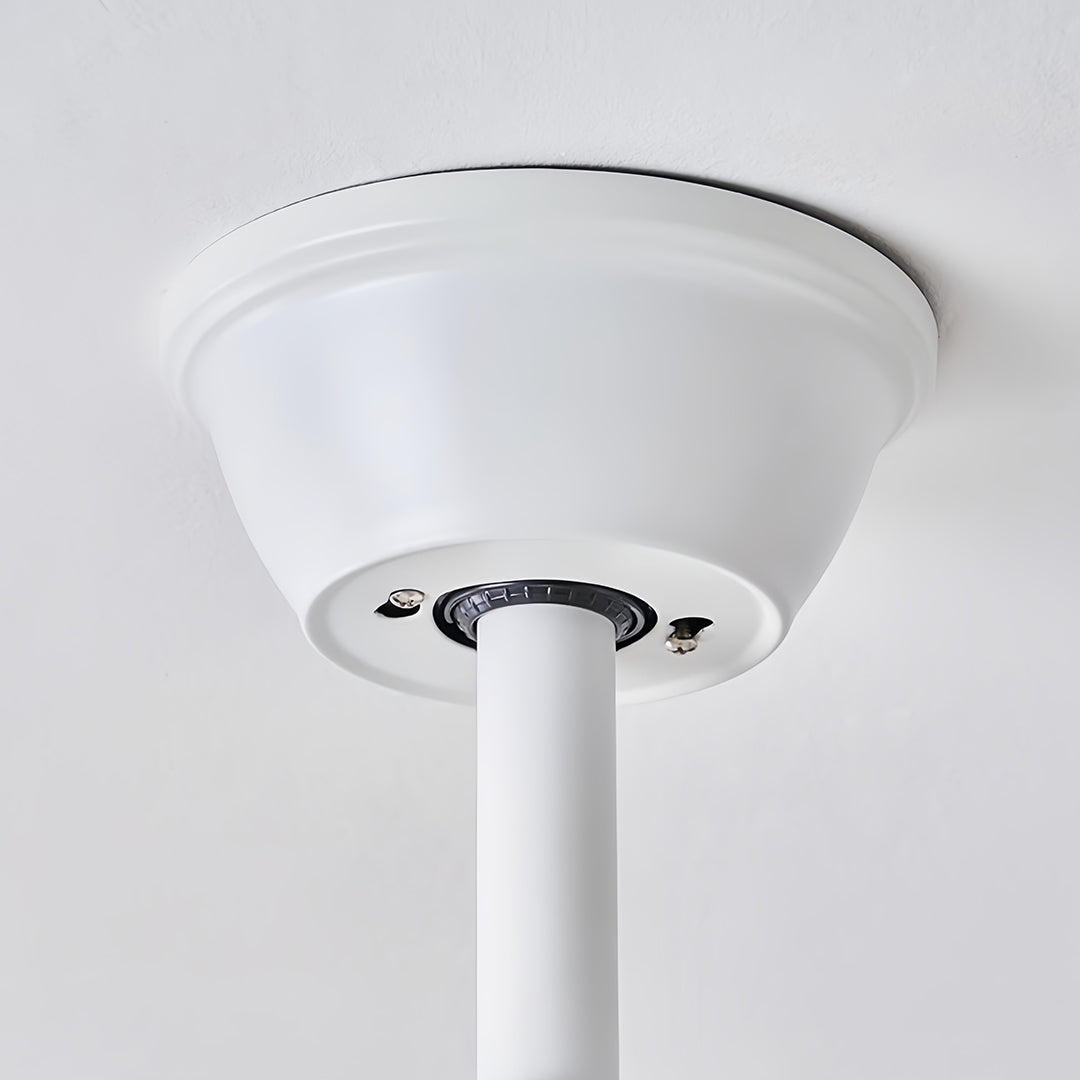 5 Blade Ceiling Fan with Light - ABS Blades, Metal Body, Modern Design