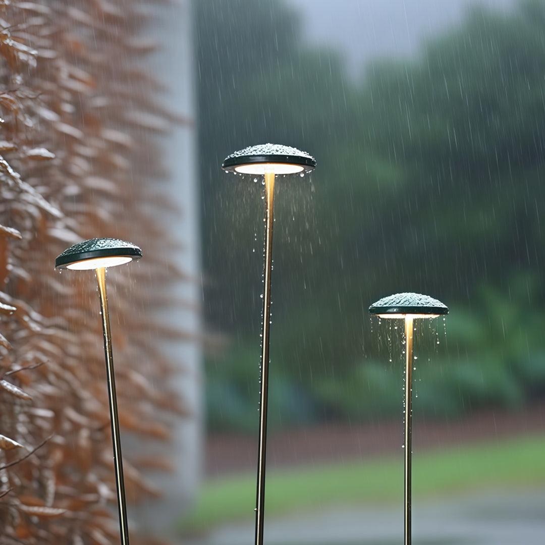 Pathway Outdoor Lighting - Minimalist Ambience Garden Lights

Enhance your outdoor space with our Pathway Outdoor Lighting, designed to create a minimalist ambience. These energy-efficient landscape lights illuminate pathways and gardens, providing safety