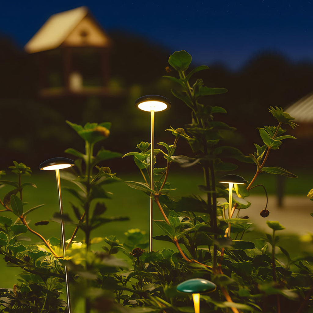 Pathway Outdoor Lighting - Minimalist Ambience Garden Lights

Enhance your outdoor space with our Pathway Outdoor Lighting, designed to create a minimalist ambience. These energy-efficient landscape lights illuminate pathways and gardens, providing safety