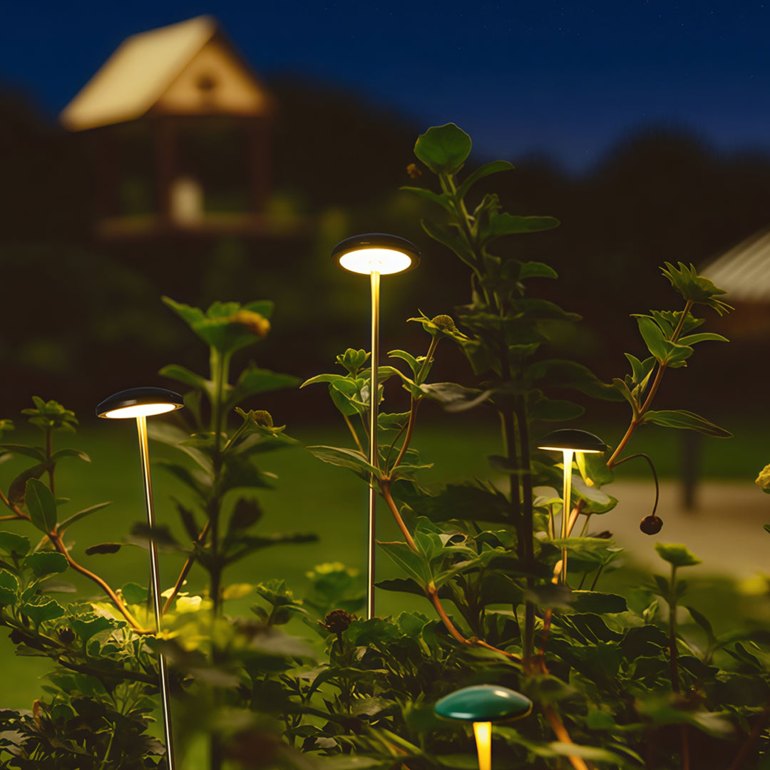 Pathway Outdoor Lighting - Minimalist Ambience Garden Lights

Enhance your outdoor space with our Pathway Outdoor Lighting, designed to create a minimalist ambience. These energy-efficient landscape lights illuminate pathways and gardens, providing safety