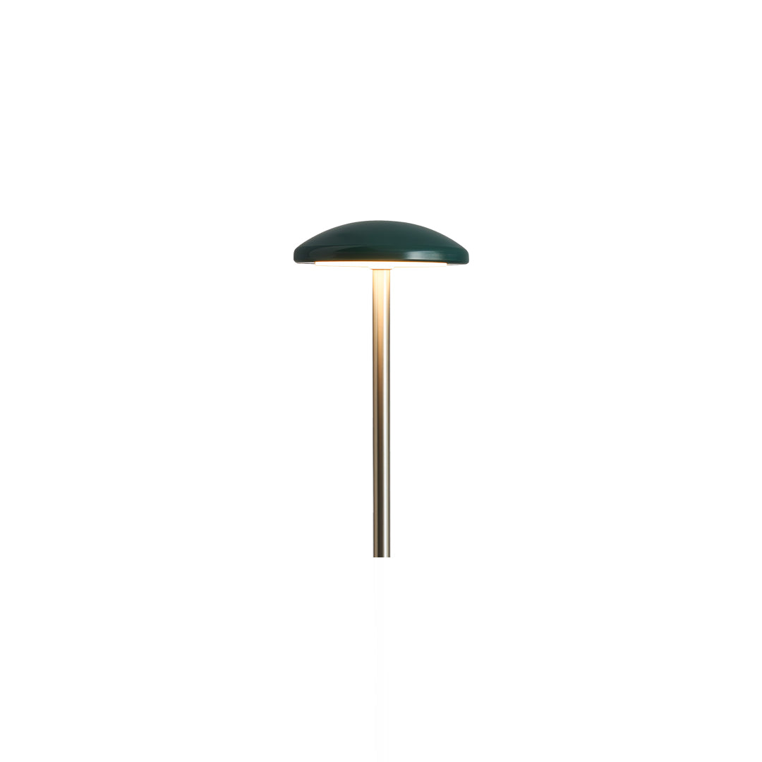 Pathway Outdoor Lighting - Minimalist Ambience Garden Lights

Enhance your outdoor space with our Pathway Outdoor Lighting, designed to create a minimalist ambience. These energy-efficient landscape lights illuminate pathways and gardens, providing safety