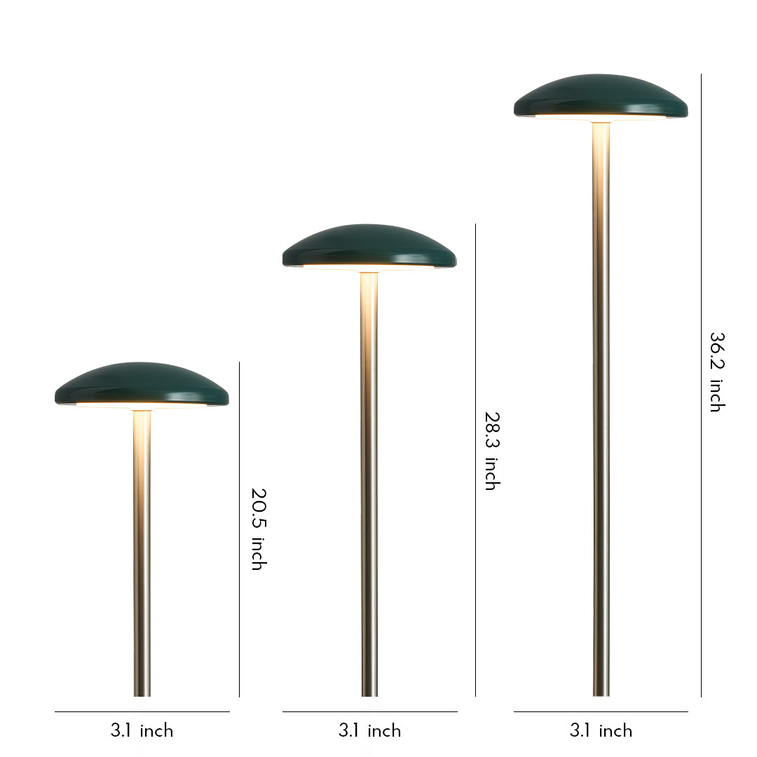 Pathway Outdoor Lighting - Minimalist Ambience Garden Lights

Enhance your outdoor space with our Pathway Outdoor Lighting, designed to create a minimalist ambience. These energy-efficient landscape lights illuminate pathways and gardens, providing safety