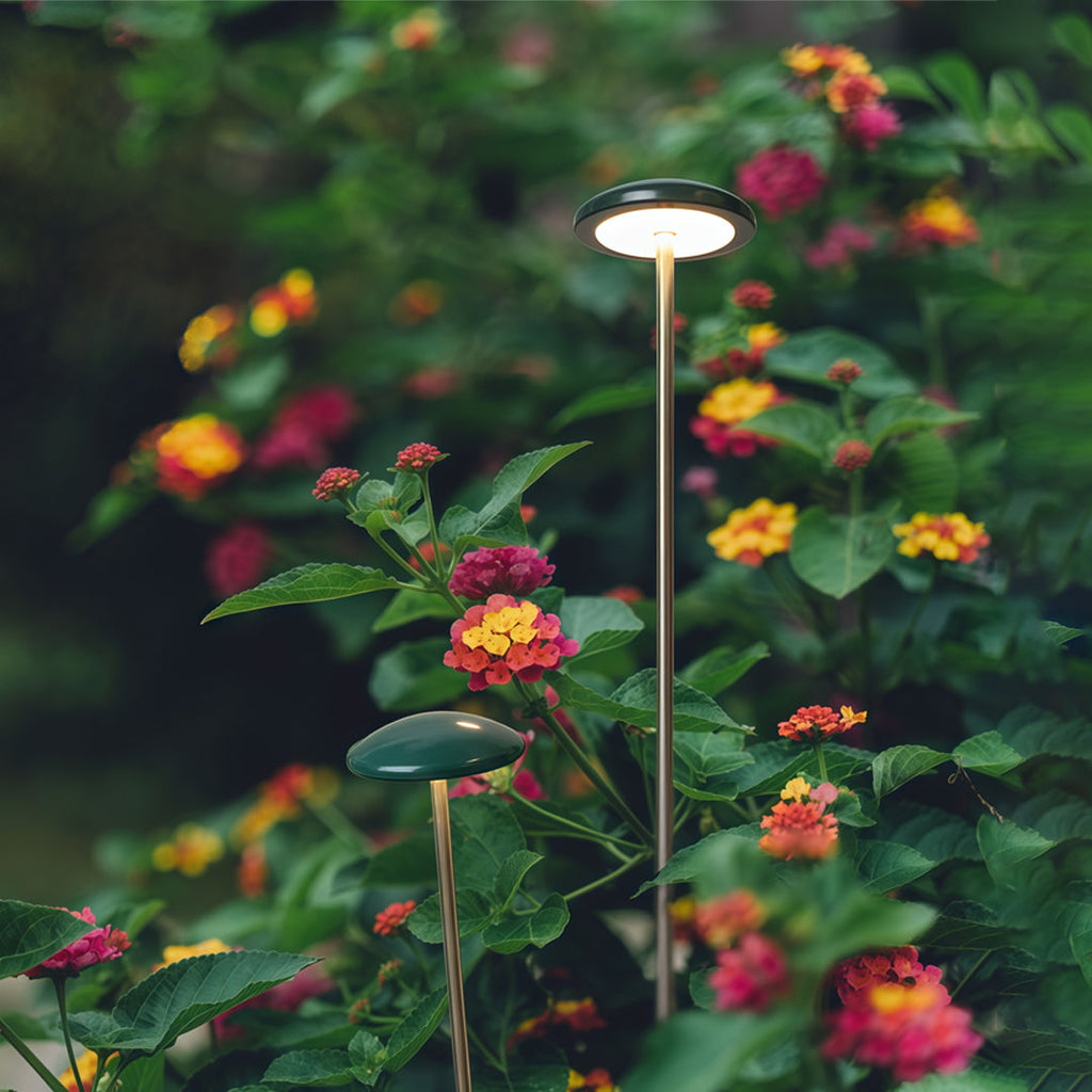 Pathway Outdoor Lighting - Minimalist Ambience Garden Lights

Enhance your outdoor space with our Pathway Outdoor Lighting, designed to create a minimalist ambience. These energy-efficient landscape lights illuminate pathways and gardens, providing safety