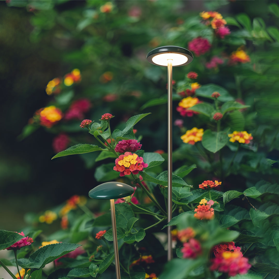 Pathway Outdoor Lighting - Minimalist Ambience Garden Lights

Enhance your outdoor space with our Pathway Outdoor Lighting, designed to create a minimalist ambience. These energy-efficient landscape lights illuminate pathways and gardens, providing safety