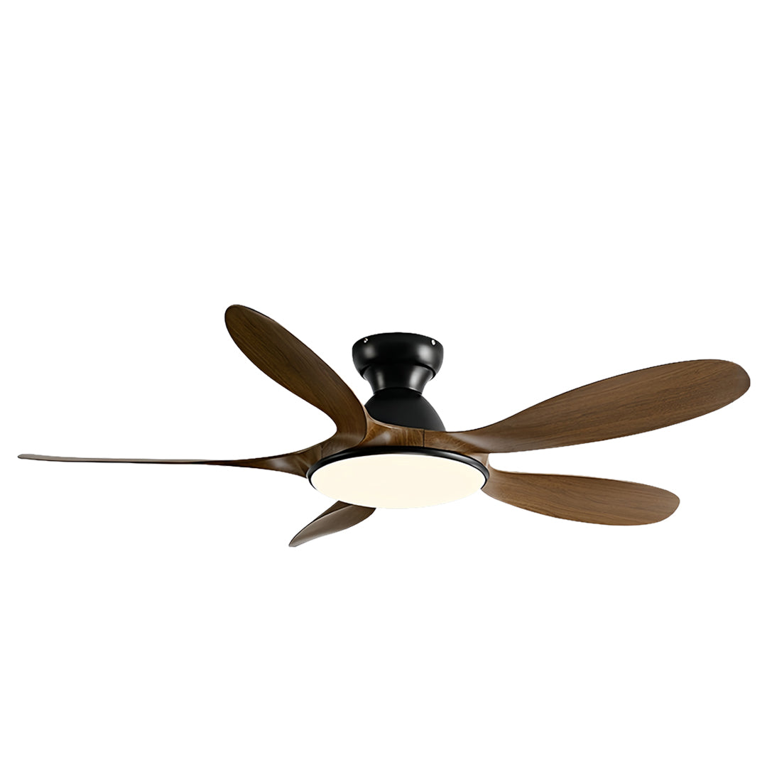 5 Blade Ceiling Fan with Light - ABS Blades, Metal Body, Modern Design