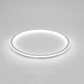 LED Circle Ceiling Lamp - Simple Acrylic Metal Light Fixture