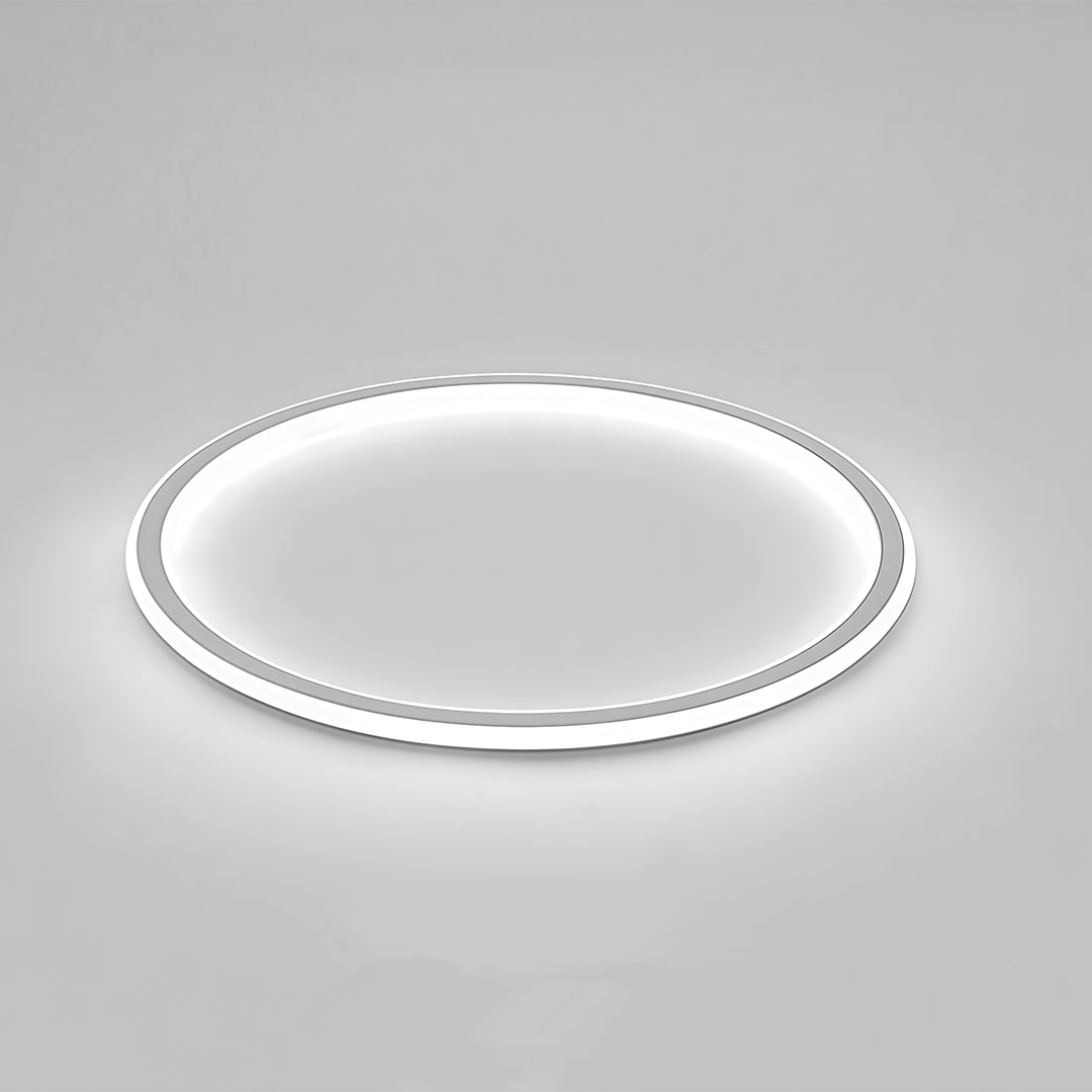 LED Circle Ceiling Lamp - Simple Acrylic Metal Light Fixture