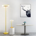 Colored Macaron Dimmable Floor Lamp - Modern Round Head Standing Light