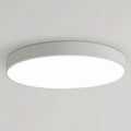 Modern Flush Mount Ceiling Light - Round Design, Stylish Home Lighting