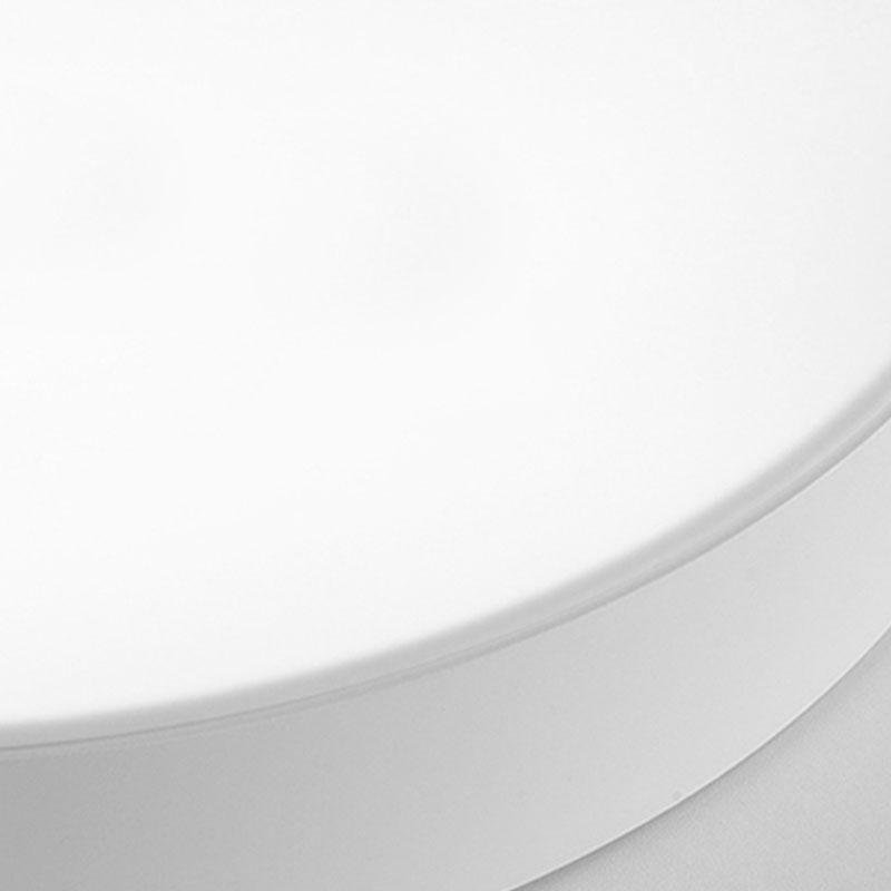 Modern Flush Mount Ceiling Light - Round Design, Stylish Home Lighting