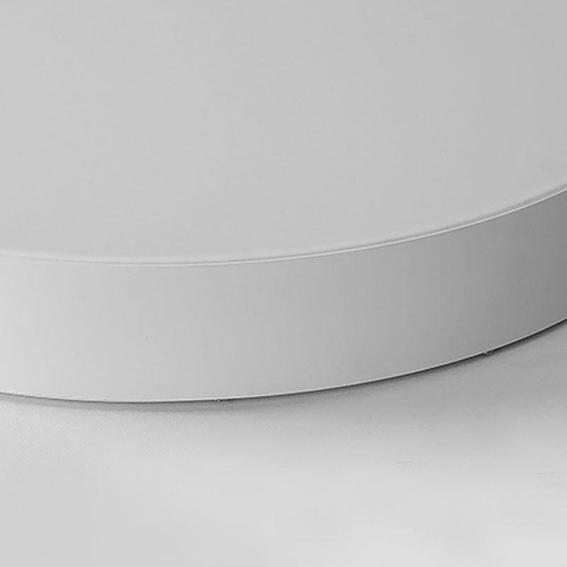 Modern Flush Mount Ceiling Light - Round Design, Stylish Home Lighting
