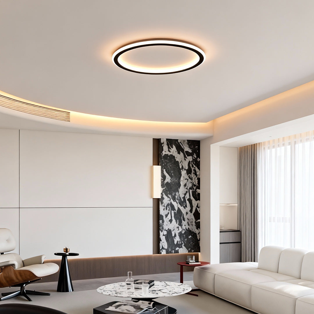 LED Circle Ceiling Lamp - Simple Acrylic Metal Light Fixture