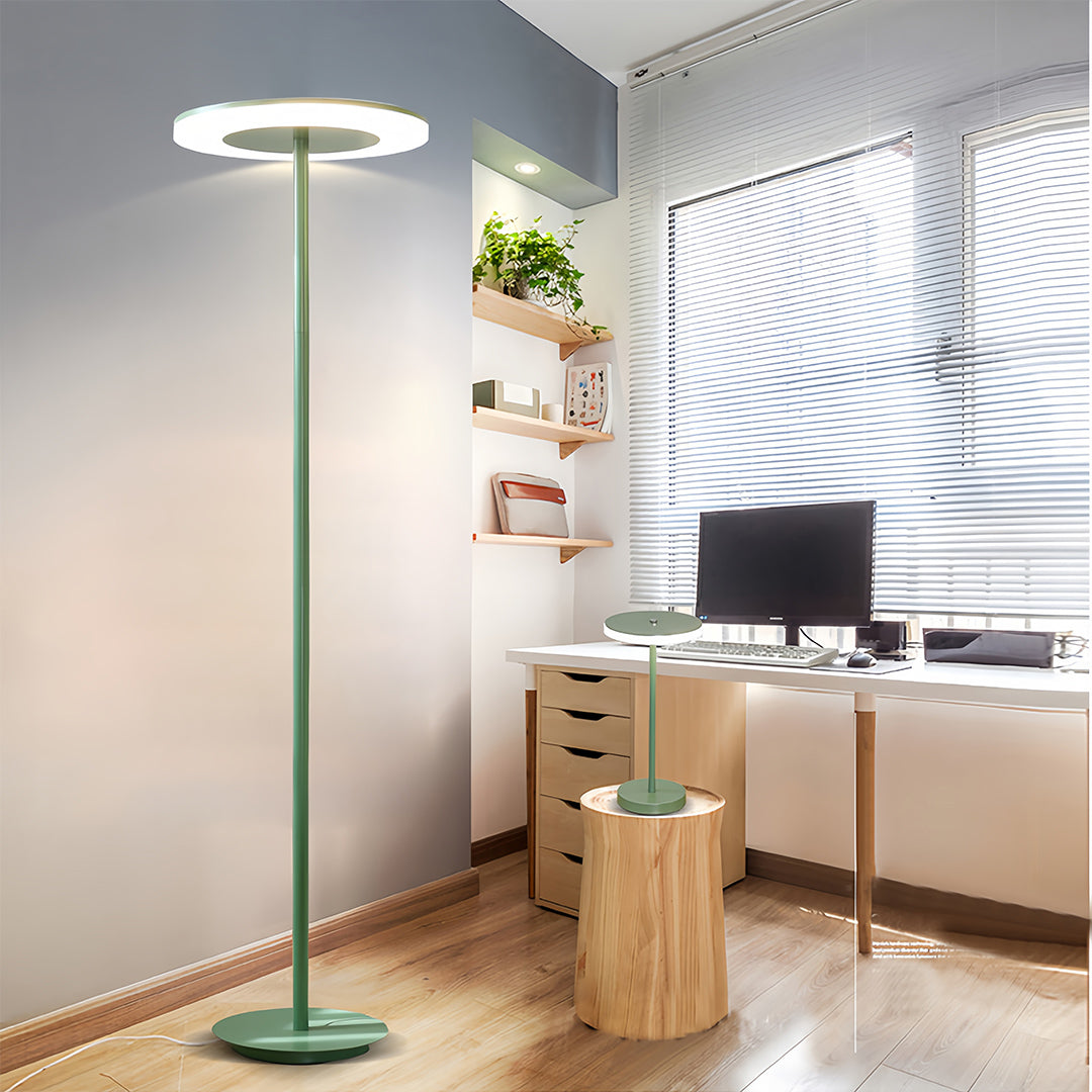 Colored Macaron Dimmable Floor Lamp - Modern Round Head Standing Light