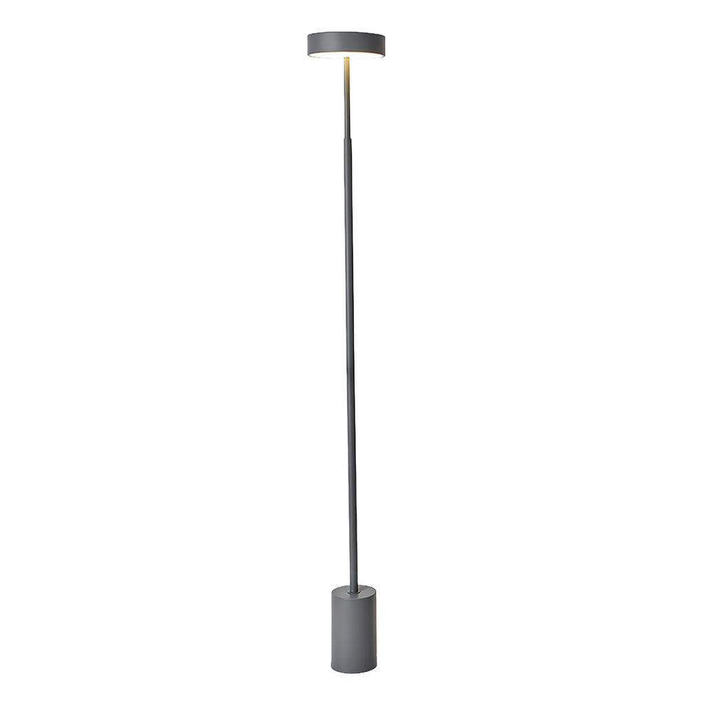 Petite Modern Dimmable Floor Lamp - Contemporary Reading Pole Light