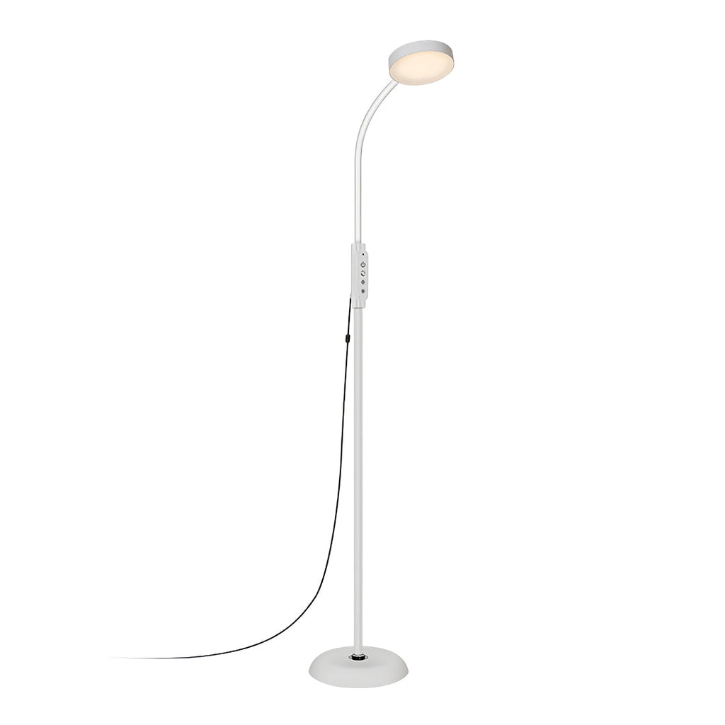 Minimalist LED Floor Lamp - Eye-Caring Standing Light for Reading