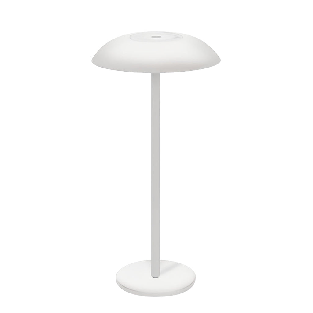 Contemporary LED Table Lamp - Minimalist Rechargeable Dimmable Design for Home and Office Lighting